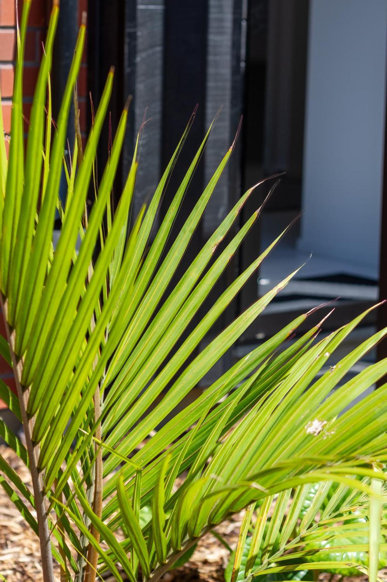 Conveniently Located 2Br Townhouse In West Akl Διαμέρισμα Όκλαντ Εξωτερικό φωτογραφία